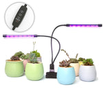 Indoor Plant LED Grow Light - ROKKES 18W Growing Lights Strip, Dimmable Full Spectrum Red Blue UV System with Timing, Small Led Grow Lamp Assembly, for Flower Succulents Vegetables Herbs Seedlings