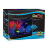 GloFish Aquarium Kit w/ Hood, LED Lights and Whisper Filter